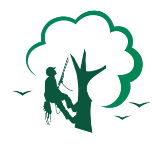 Baumpflege Mahlberg Logo Kontakt: Grüner Umriss eines Seilkletterers, der an einem Baum hängt.